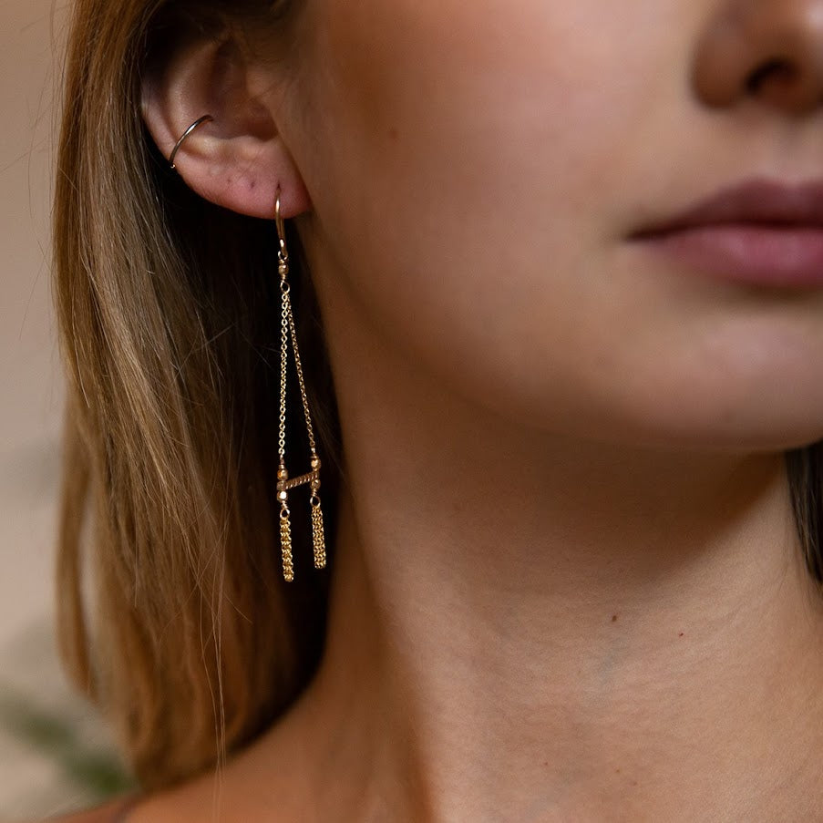 Tassel and Swing Earrings