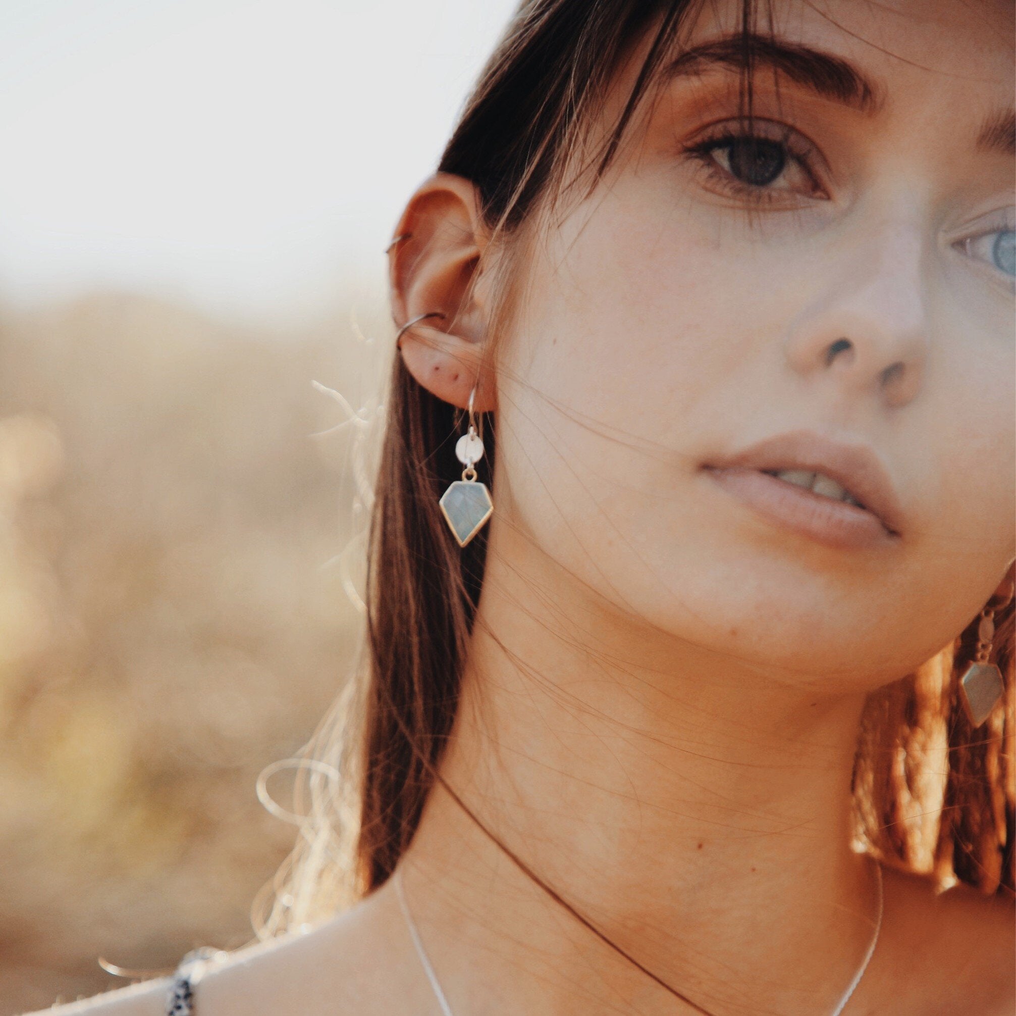 Geomtery Drop Earrings